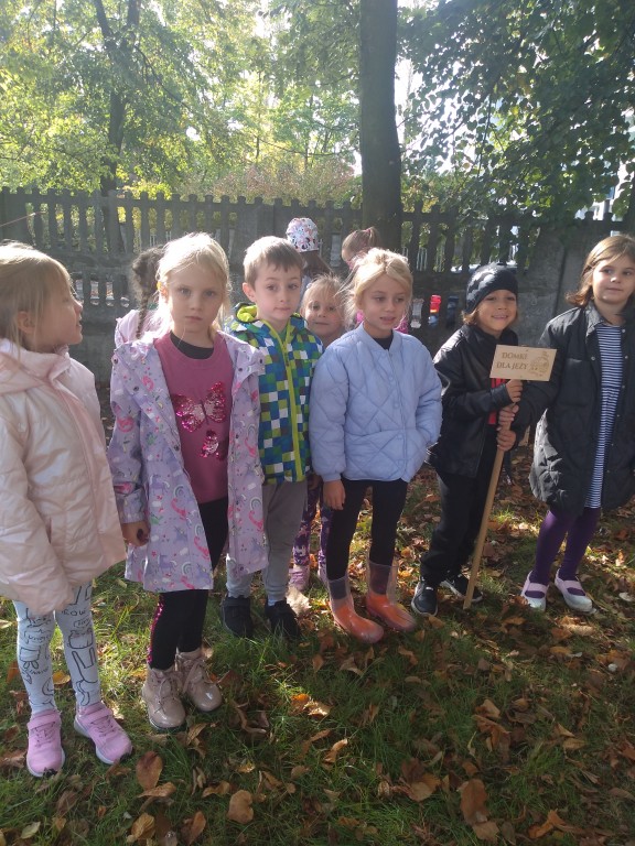 Koguciki na terenie ogrodu przedszkolnego